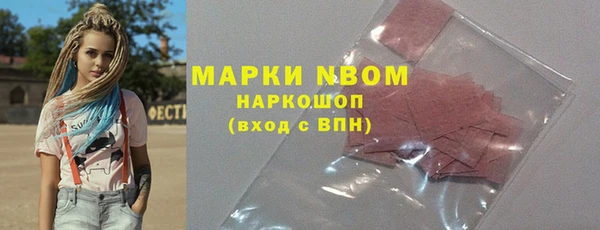 прущие грибы Краснослободск