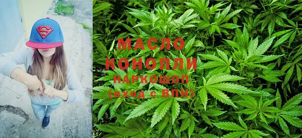 прущие грибы Краснослободск