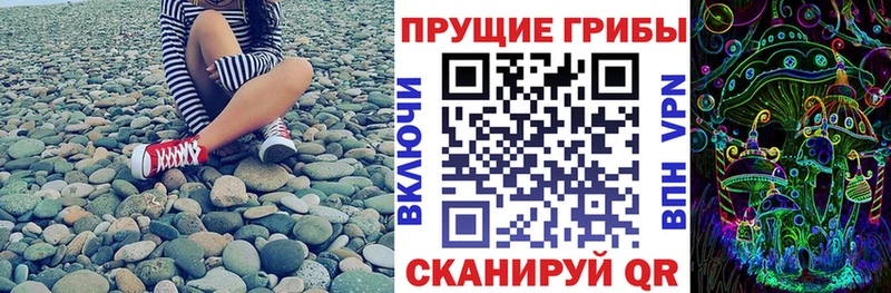 Купить  Лобня  Псилоцибиновые грибы мицелий 